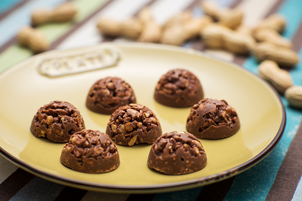 巖手屋 チョコ南部